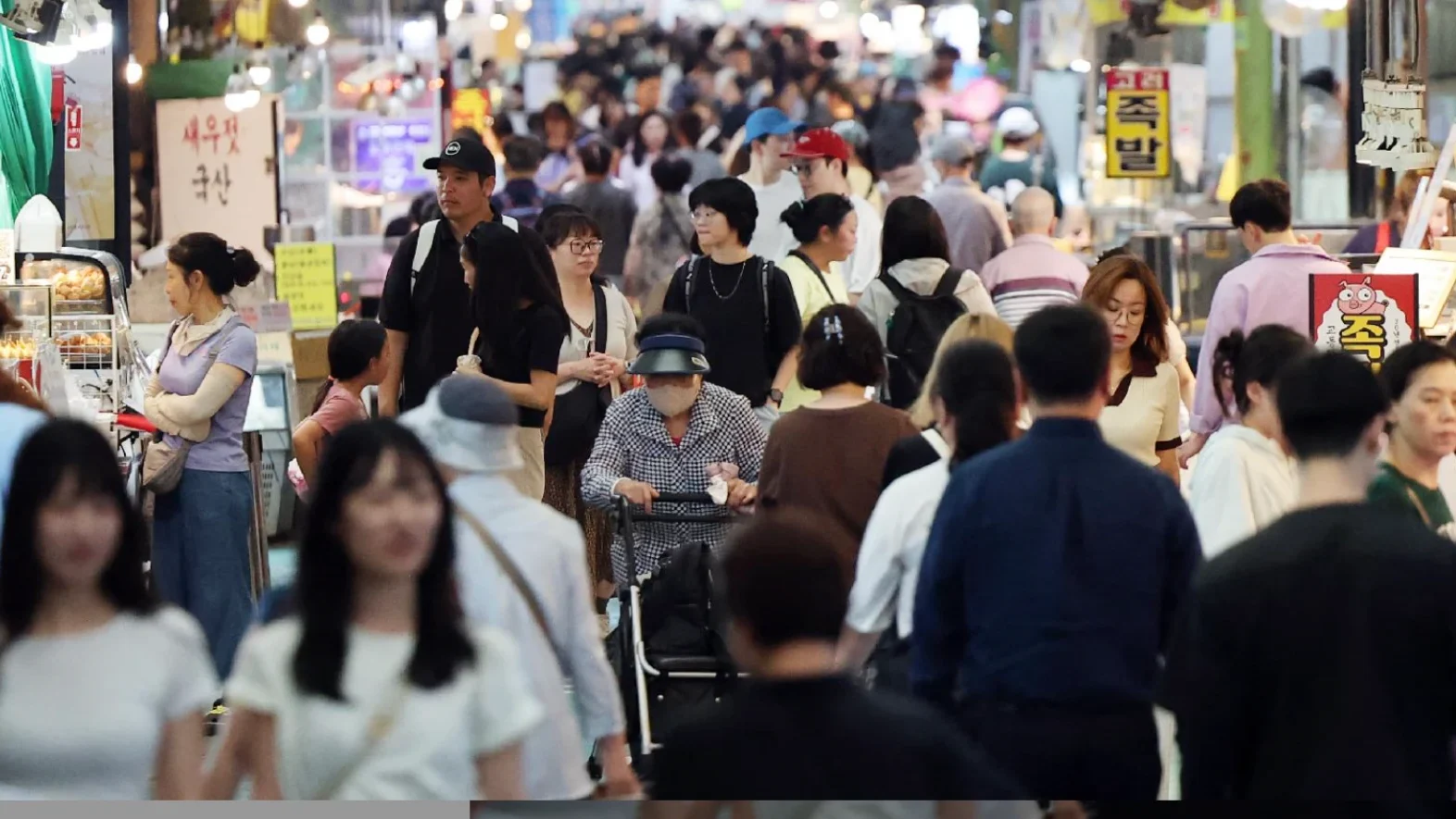 2025 전국민 민생회복 소비쿠폰