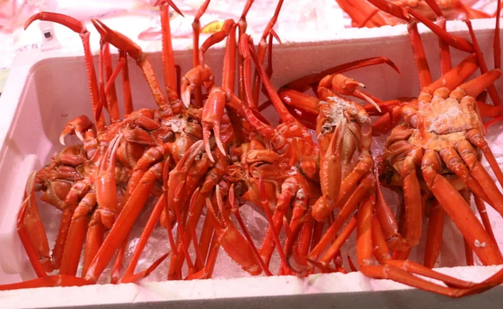 수산물품질관리사(Seafood Quality Manager)