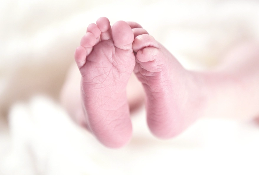 신생아 민생회복 소비쿠폰