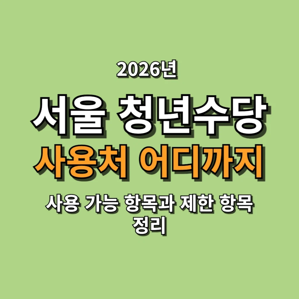 서울 청년수당 사용처 어디까지 사용 가능 항목과 제한 항목 정리
