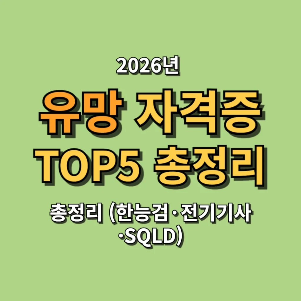 2026년 유망 자격증 TOP5 총정리 (한능검·전기기사·SQLD)