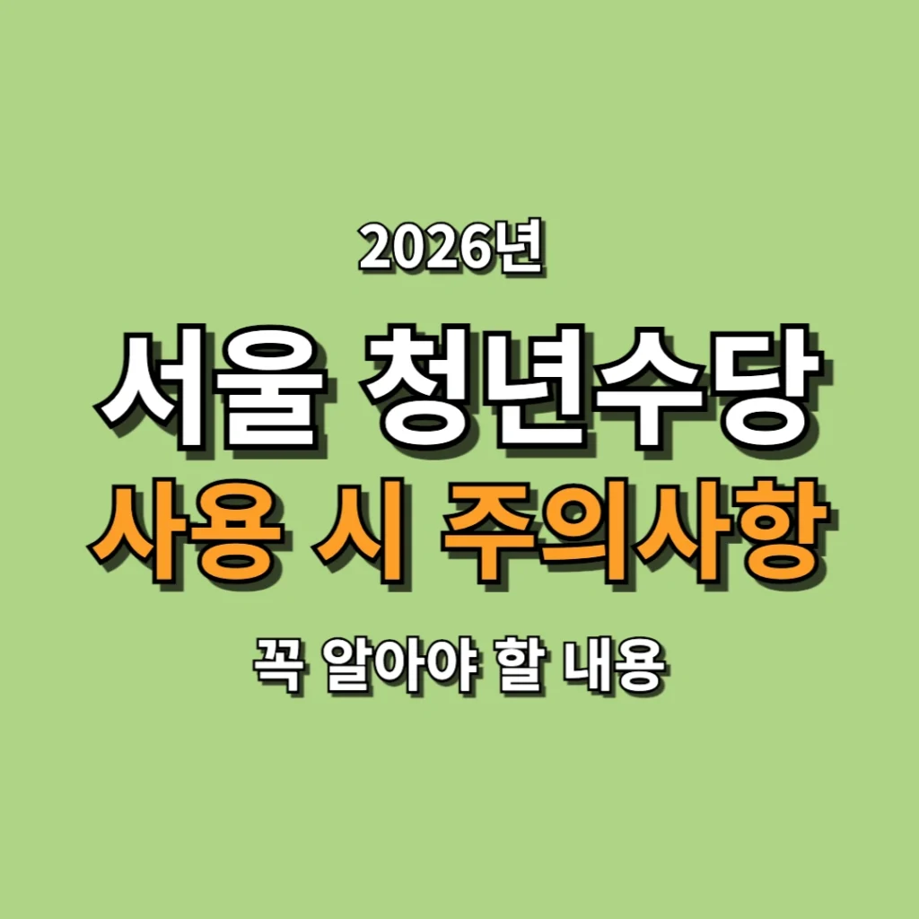 서울 청년수당 사용 시 주의사항 꼭 알아야 할 내용