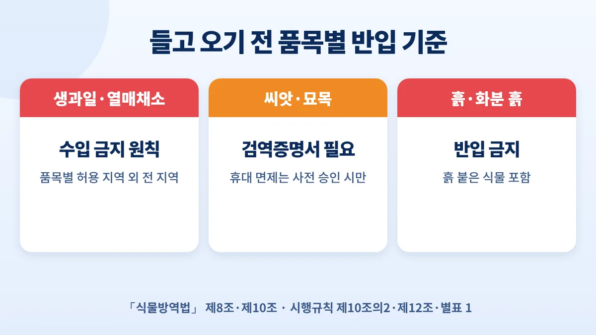 해외 과일·식물 반입 기준: 생과일은 수입 금지 원칙, 씨앗·묘목은 검역증명서 필요, 흙과 화분 흙은 반입 금지