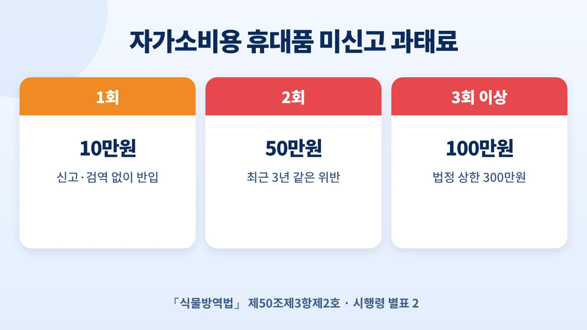 식물검역 미신고 과태료: 자가소비용 휴대품 1회 10만원, 2회 50만원, 3회 이상 100만원, 법정 상한 300만원